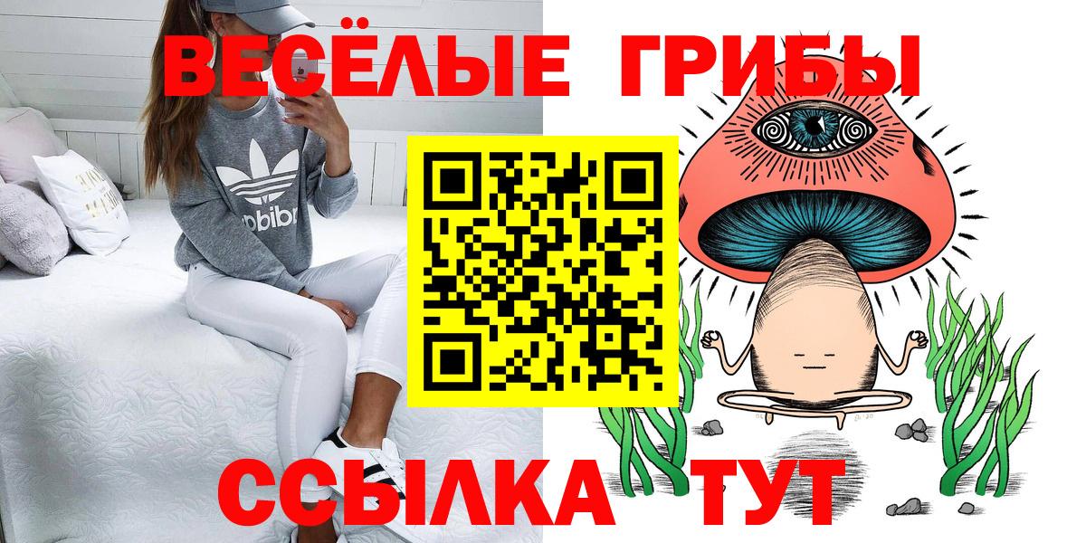 Псилоцибиновые грибы GOLDEN TEACHER Димитровград
