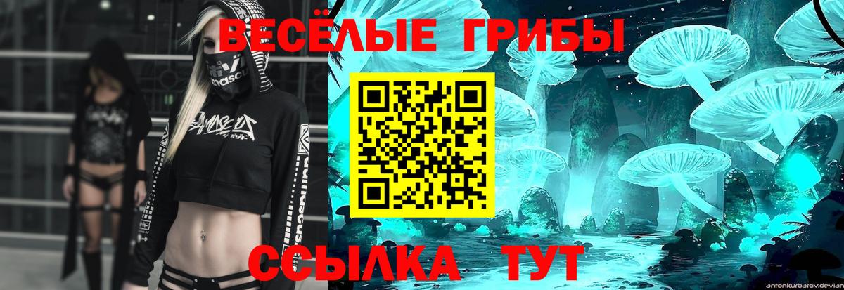 Галлюциногенные грибы мухоморы  Вход с VPN  Димитровград  сколько стоит  Галлюциногенные грибы мухоморы 